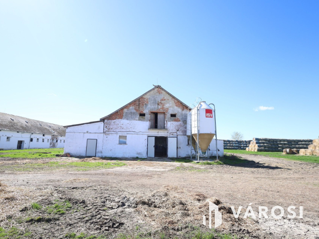 Eladó sertéstelep Szeghalom határában 11 ha területen