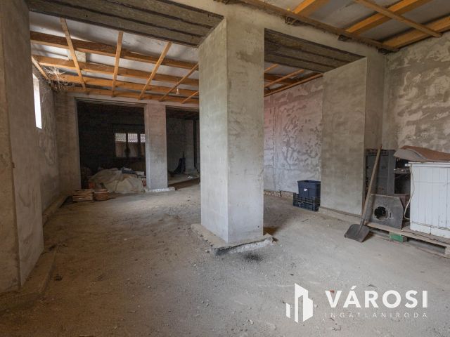 Nagy családi ház a város központjában