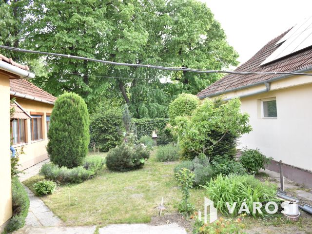 4 szobás családi ház az élővízcsatorna partján!